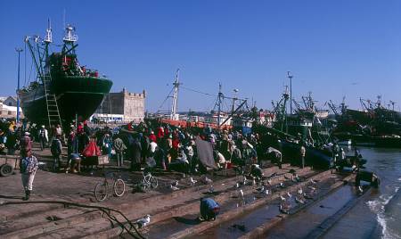 Essouira_6.jpg