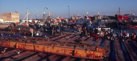 Essaouira_9.jpg
