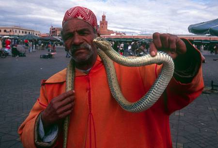 Marrakech_5.jpg