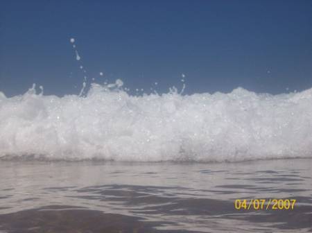 100_1138.JPG