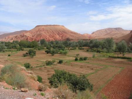 Tafelberg im Dades-Tal UL.JPG