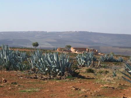 Land4.jpg