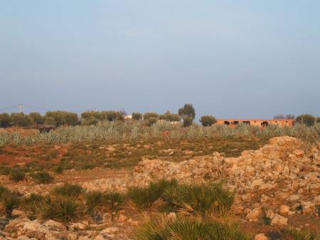 Land7.jpg