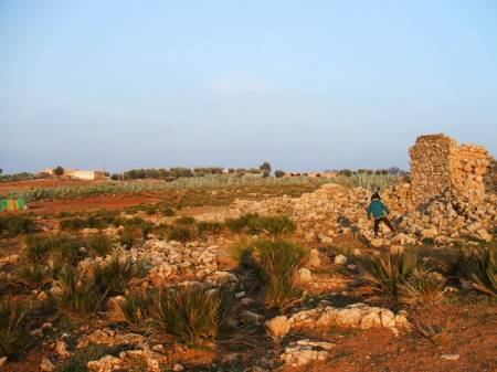 Land8.jpg