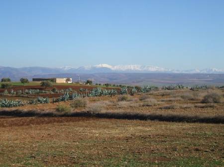 Land9.jpg