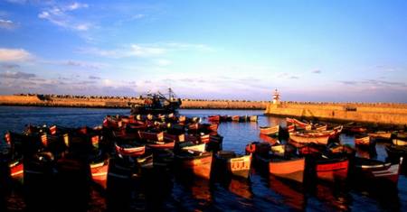 Fischerboote Port d'El Jadida gr.jpg