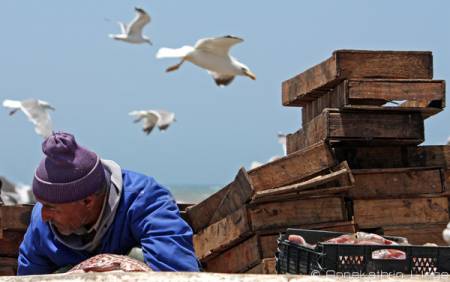 2009_Essaouira1_02.jpg