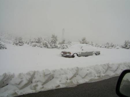 bei richdec2006.jpg
